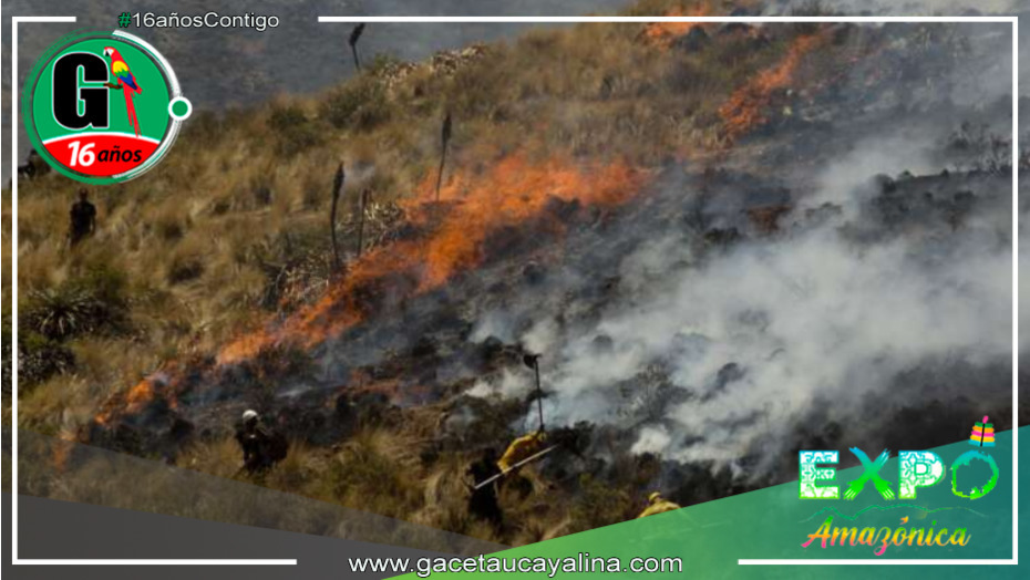 Devastador incendio forestal destruye más de 80 hectáreas