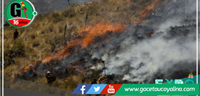 Devastador incendio forestal destruye más de 80 hectáreas 