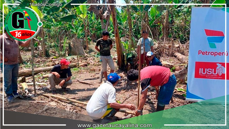 Amazonas: promueven producción de cacao en comunidades indígenas