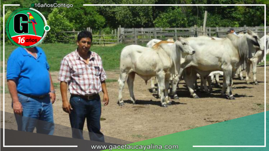 Mesa técnica de ganaderos exige acción inmediata al Gobierno Regional de San Martín