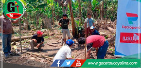 Amazonas: promueven producción de cacao en comunidades indígenas