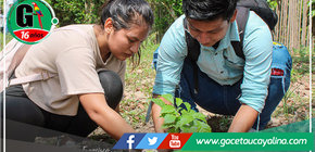 Municipalidad de Atalaya lidera exitosa campaña de reforestación en la Semana Forestal Nacional 2023