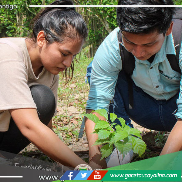 Municipalidad de Atalaya lidera exitosa campaña de reforestación en la Semana Forestal Nacional 2023