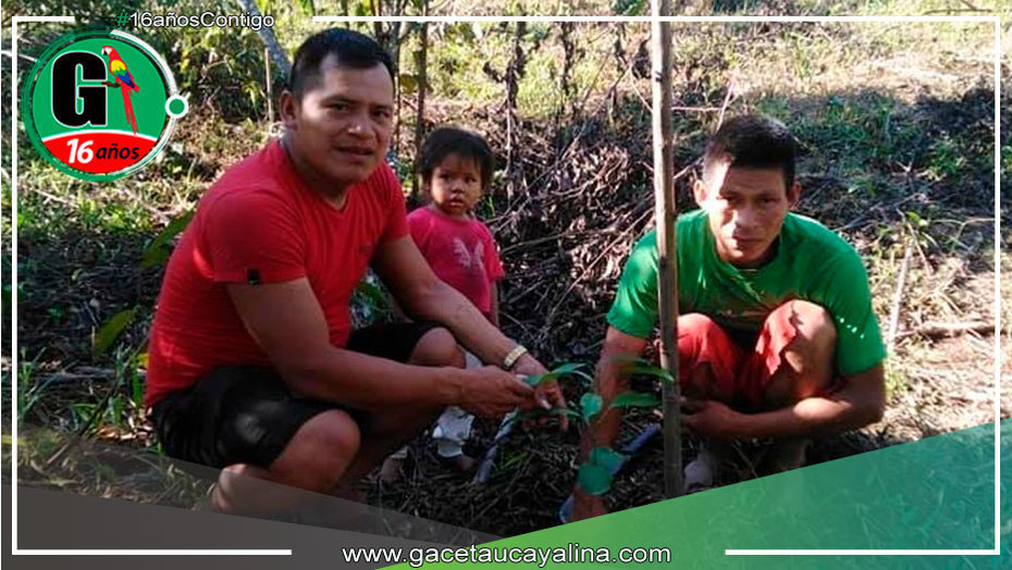 Logran ampliar prisión para presunto homicida de defensor ambiental en Madre de Dios