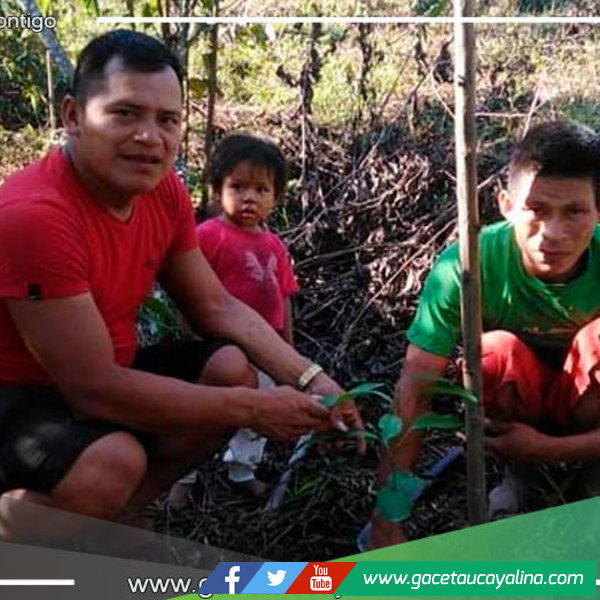 Logran ampliar prisión para presunto homicida de defensor ambiental en Madre de Dios