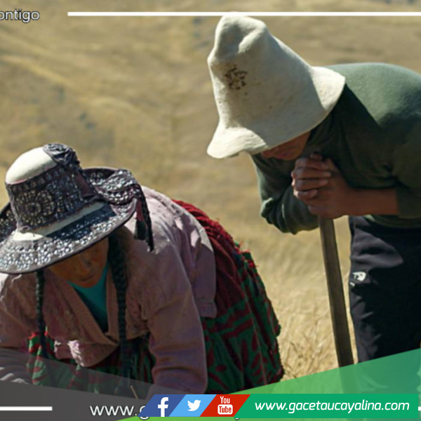 Película cusqueña ‘Kinra’ obtiene el máximo premio en el 38º Festival de Cine de Mar del Plata