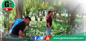 Éxito en el Mantenimiento Comunitario de la Laguna en Maracaná, Contamana