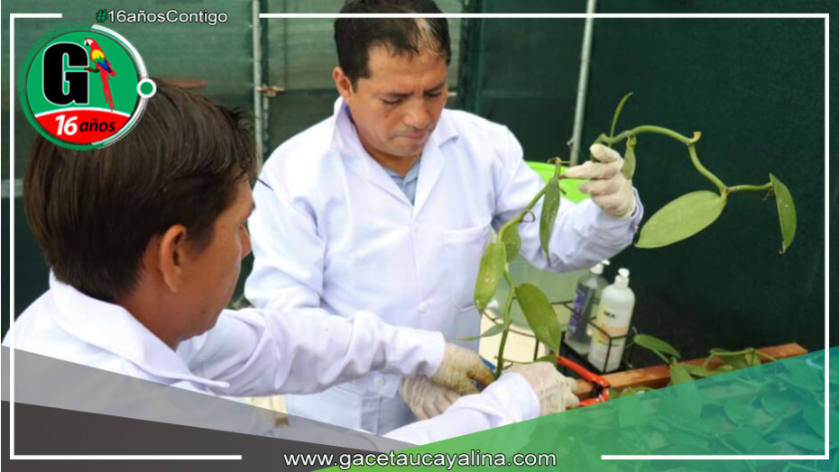 Abren puertas a nuevas oportunidades de negocio y emprendimiento