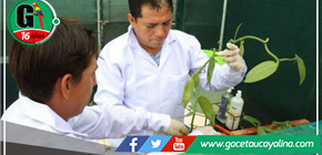 Abren puertas a nuevas oportunidades de negocio y emprendimiento