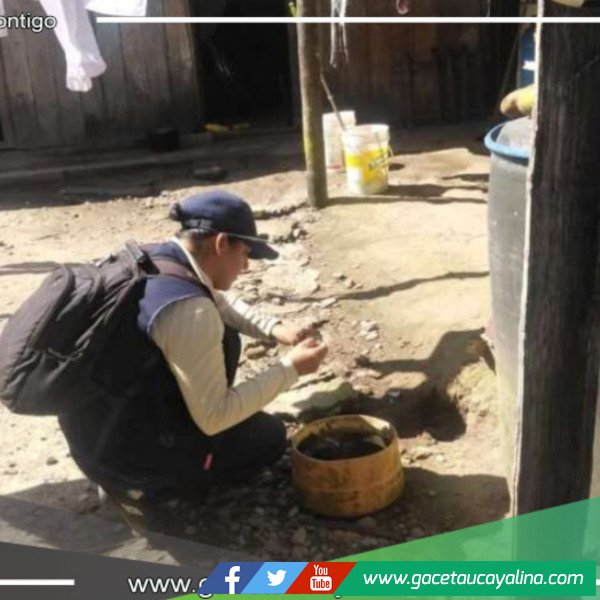 Goresam: 11 Campañas de eliminación de criaderos en Rioja