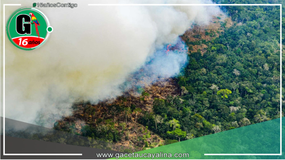 Datos sobre alertas de incendios forestales en estos 11 meses
