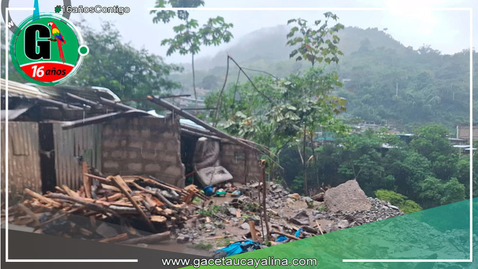 Huánuco: Deslizamiento de cerro destruye una vivienda en Cayumba