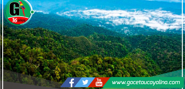 Parque Nacional Cordillera Azul intensifica vigilancia