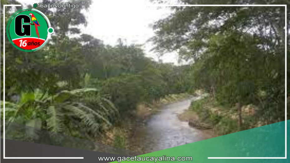 Gobierno Regional y gremios forestales se comprometen a un manejo sostenible de los bosques