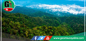 Parque Nacional Cordillera Azul intensifica vigilancia