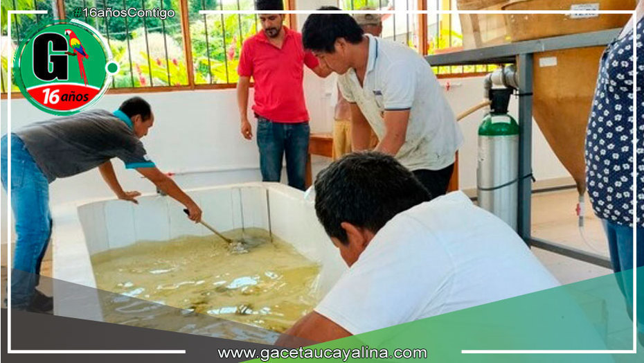 Fortalecen seguridad alimentaria de comunidades rurales de Madre de Dios