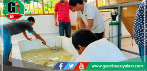 Fortalecen seguridad alimentaria de comunidades rurales de Madre de Dios 