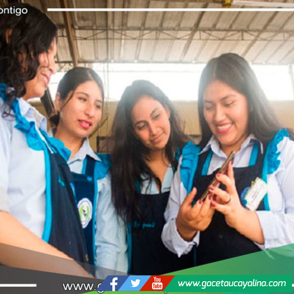 Comunidad virtual: Futuros docentes intercambiarán experiencias