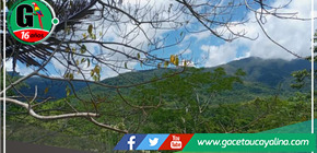 Estrategias para resolver la delicada situación de posicionamiento de predios en áreas de conservación