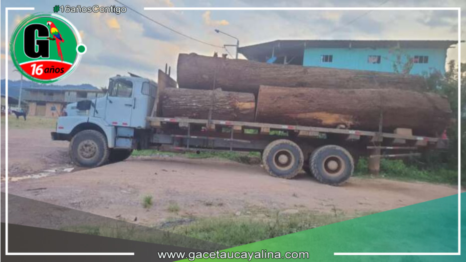 Comunidad de Las Palmeras en Alto Saposoa levanta barricadas contra la tala ilegal de árboles