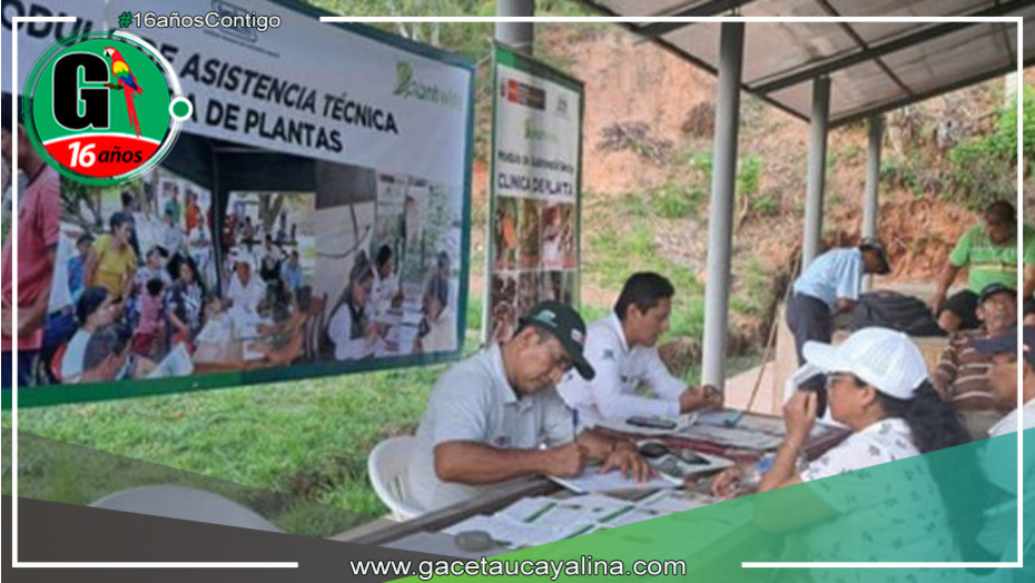 Productores de Tabalosos acogen tecnologías para salvaguardar sus cultivos
