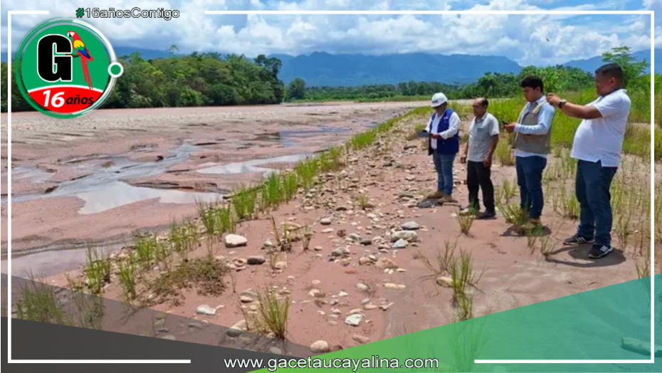 Medidas preventivas en río Aguaytía: Autoridades trabajan en protección contra desbordes y erosiones