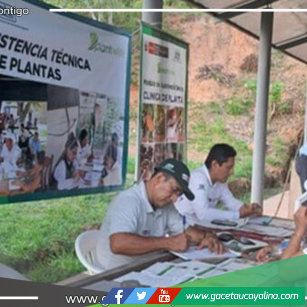 Productores de Tabalosos acogen tecnologías para salvaguardar sus cultivos