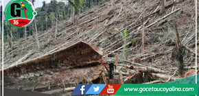 Brecha abismal entre planes y realidad cotidiana amenaza la sostenibilidad Regional