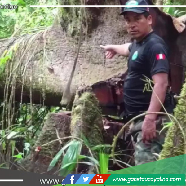 Kevin Inuma, hijo mayor del líder indígena kichwa asesinado, denuncia: “El Estado es culpable de la muerte de mi padre”