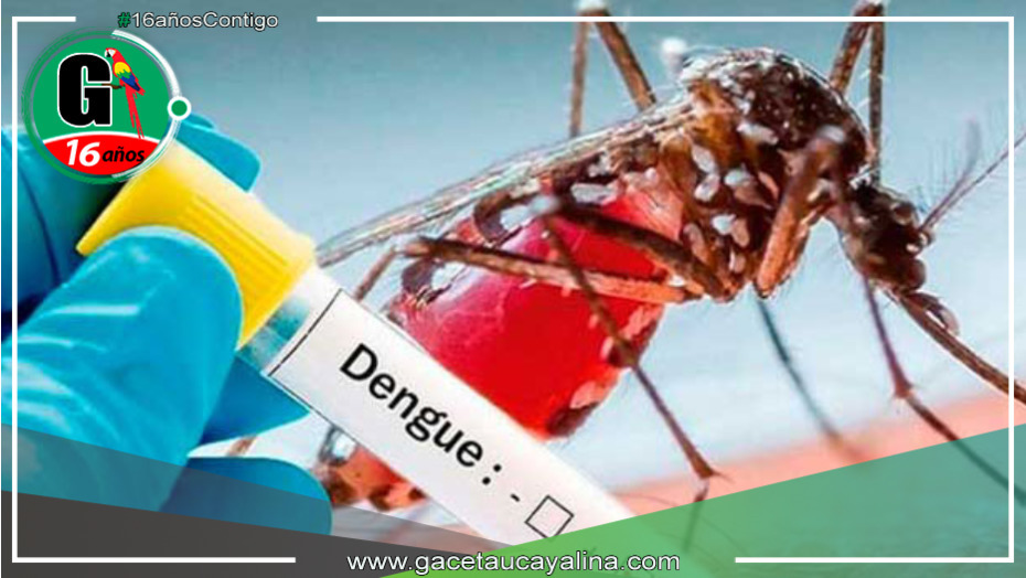 Cusco plantea nuevos estudios sobre el dengue