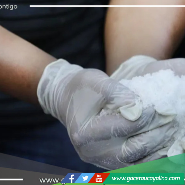 Logran detener a chofer que transportaba 99 kilos de alcaloide de cocaína 