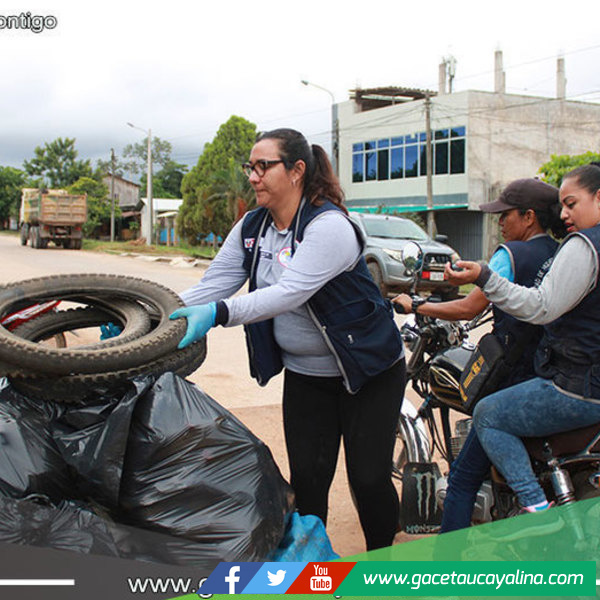 Gobierno Regional realizó jornada de eliminación de criaderos del zancudo trasmisor del dengue 