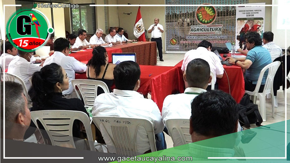GOREU y Serfor realizarón taller para generar mayor beneficio en gestión de bosques