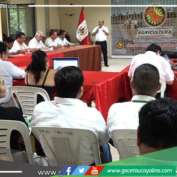 GOREU y Serfor realizarón taller para generar mayor beneficio en gestión de bosques