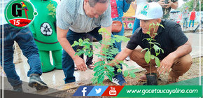 Siembran plantas ornamentales en principal calle de Atalaya