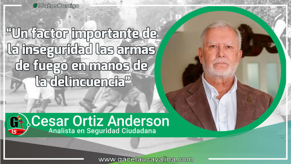 Un factor importante de la inseguridad las armas de fuego en manos de la delincuencia