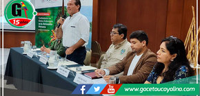 Cultivos ilícitos y parcelas agrícolas son las causas de la deforestación en lo que va del 2023