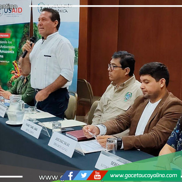 Cultivos ilícitos y parcelas agrícolas son las causas de la deforestación en lo que va del 2023