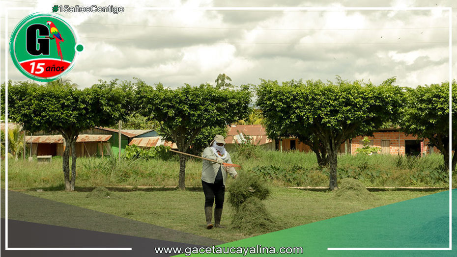 Municipalidad de Manantay realiza limpieza en parques de los AA.HH. y zona urbana