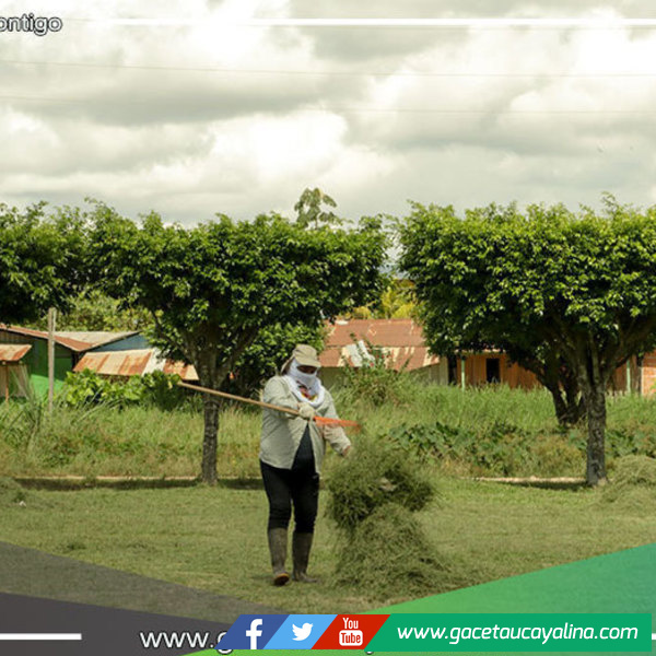 Municipalidad de Manantay realiza limpieza en parques de los AA.HH. y zona urbana 