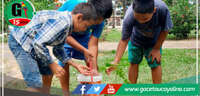 MPCP lanzará concurso de barrio saludable