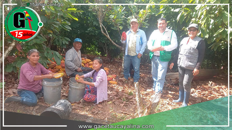 Devida Zonal monitorean actividades del Proyecto Cacao en Campo Verde
