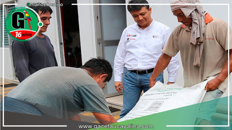 Productores de Cacao de Atalaya exportan 250 toneladas de grano orgánico