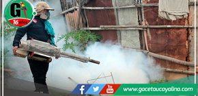 Dengue llega a 9 000 casos registrados en la región Ucayali