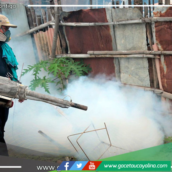 Dengue llega a 9 000 casos registrados en la región Ucayali