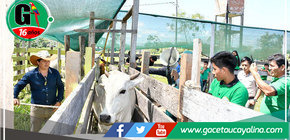 Municipalidad de Sepahua y Tecnológico "Carlos Laborde" ofrecen ciclo de capacitación para ganaderos