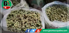 PNP erradica más de 40 hectáreas de marihuana en Huánuco