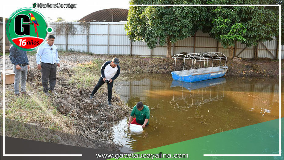 Alcalde John Salcedo Ríos promueve la crianza de peces en pozas municipales