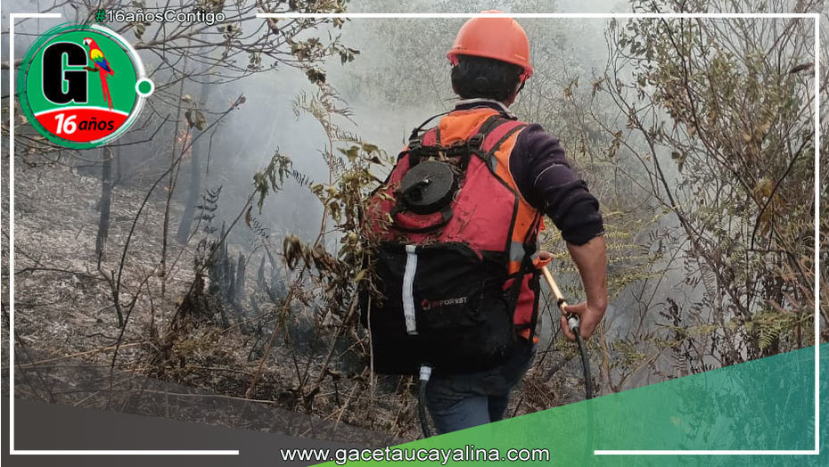 Éxito en la Extinción de Incendio Forestal en Amazonas: Colaboración Interinstitucional Destacada