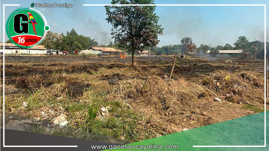 Municipalidad de Yarinacocha recupera área verde invadida por usurpadores